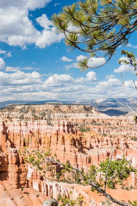 The 10 Best Things to Do in Escalante, Utah – Insider's Utah.